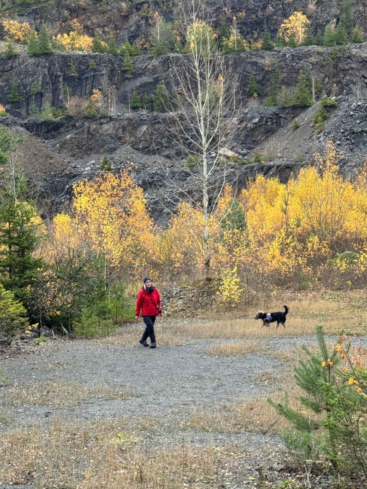 Zivile Leichensuche im Unglücksfall